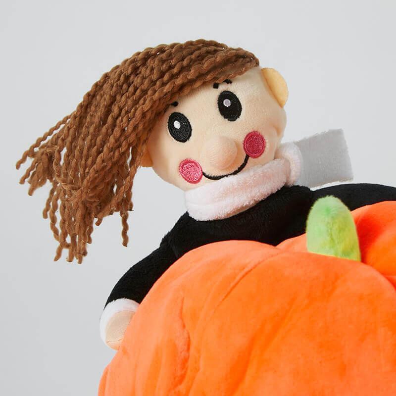 Disfraz Perro Llevando Calabaza