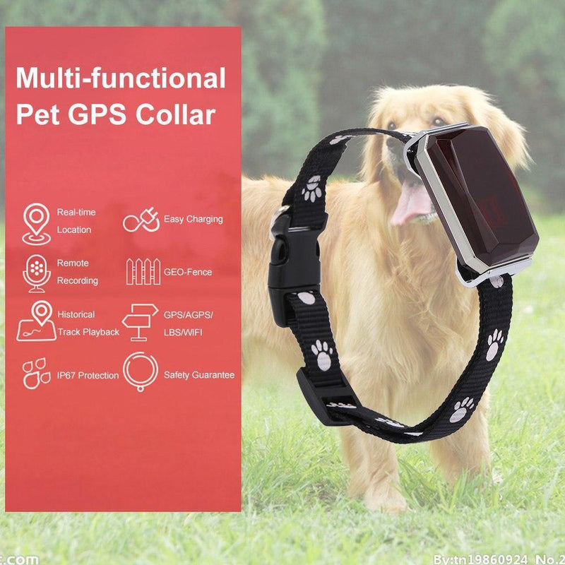 Collar GPS impermeable con micrófono y Geo-fance Docooler Mk2