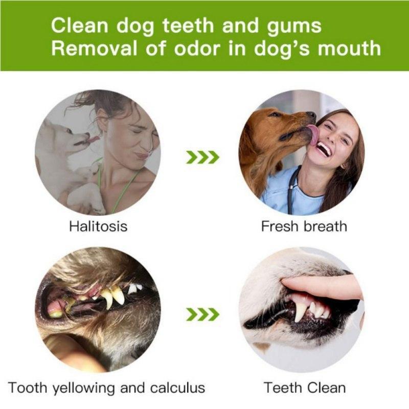 Cepillo de dientes para perros 2019 - Envío gratis