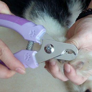 Cortaúñas profesional para mascotas con 1 lima de uñas